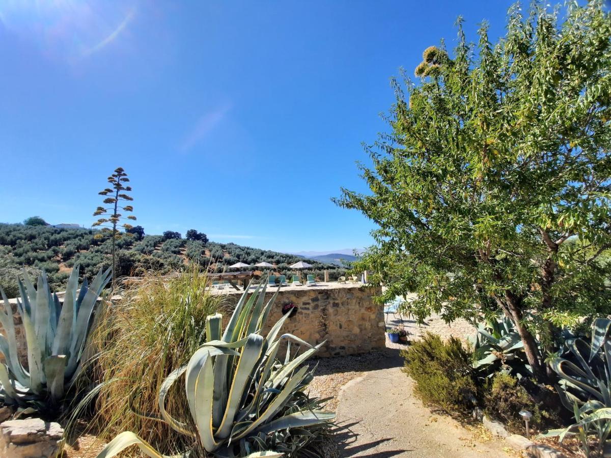 Hacienda La Buena Vida B&B En Appartementen Casita La Bruja Algarinejo Екстер'єр фото