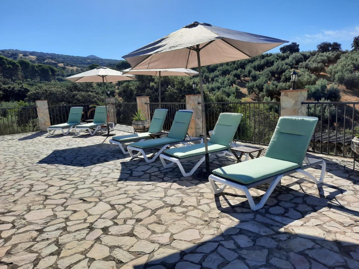 Hacienda La Buena Vida B&B En Appartementen Casita La Bruja Algarinejo Екстер'єр фото