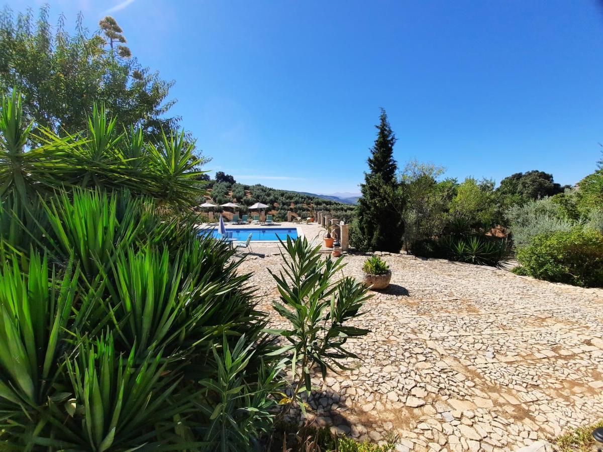 Hacienda La Buena Vida B&B En Appartementen Casita La Bruja Algarinejo Екстер'єр фото