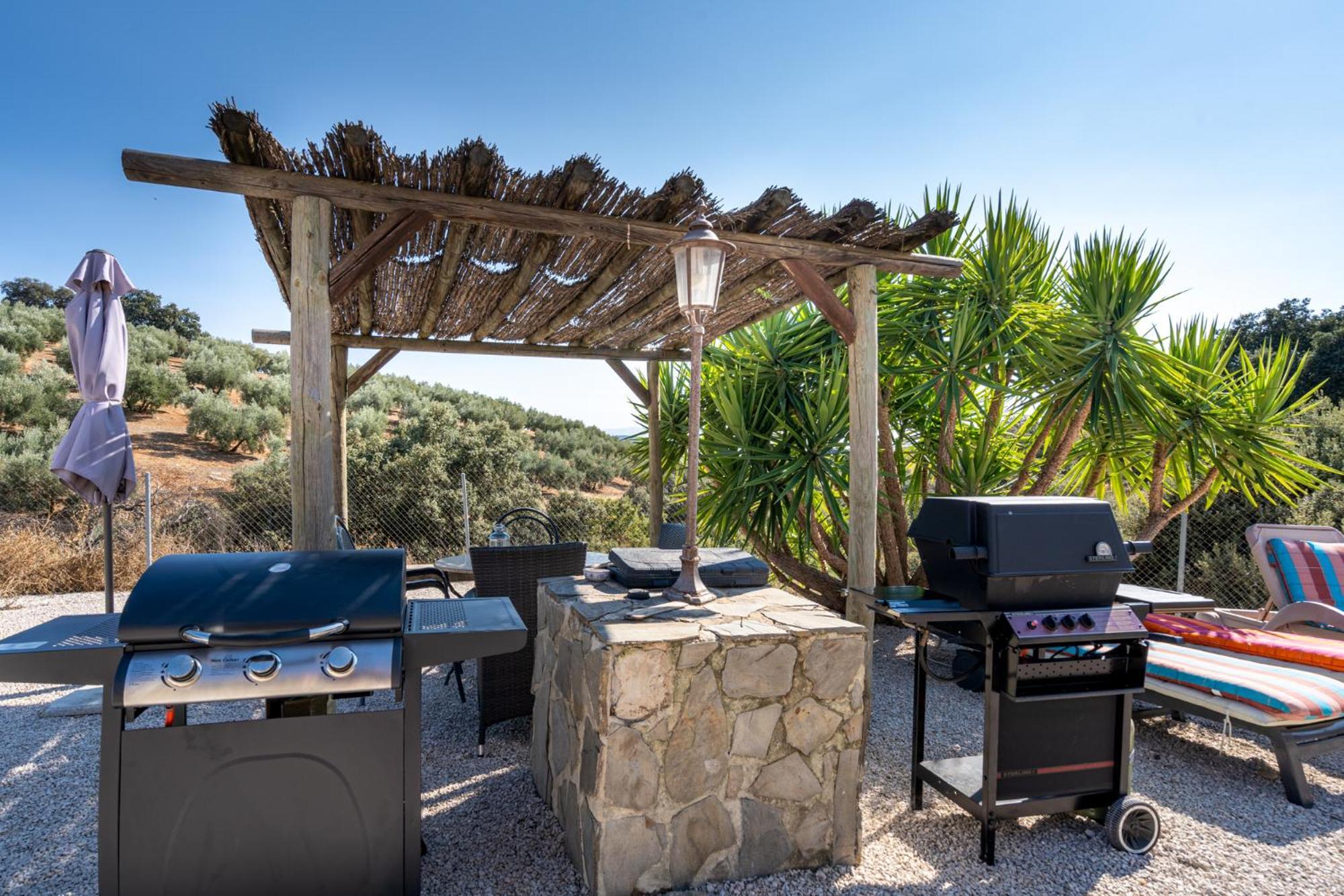 Hacienda La Buena Vida B&B En Appartementen Casita La Bruja Algarinejo Номер фото